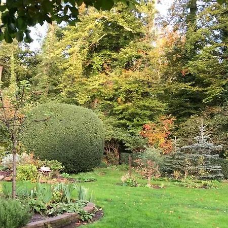 Am Berg Lengerich